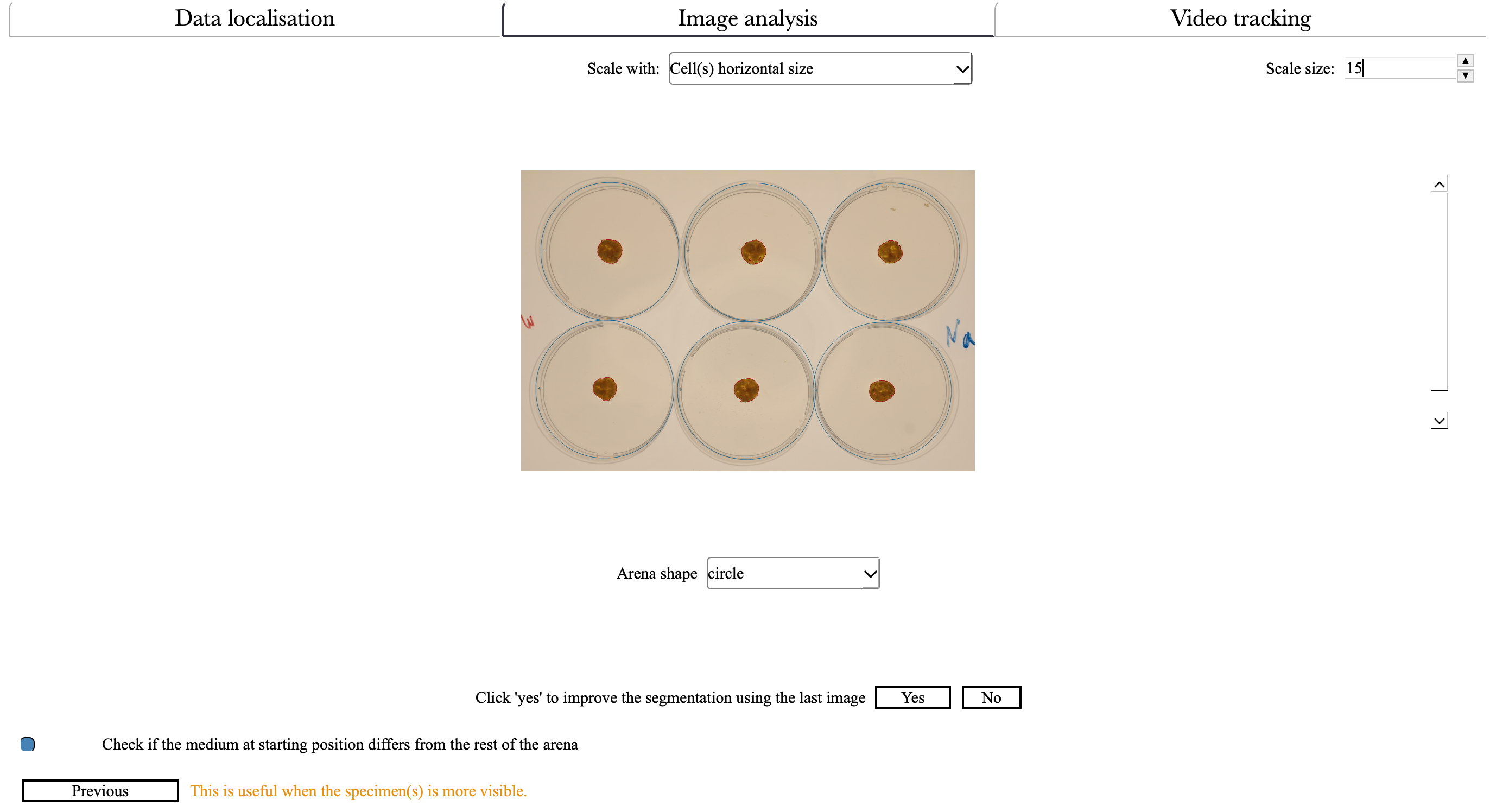 Cellects image analysis window, after arena delineation